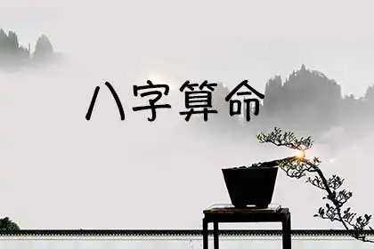 水墨先生精心打造八字預測軟體