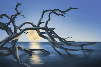 批八字的十個步驟分別是什麼