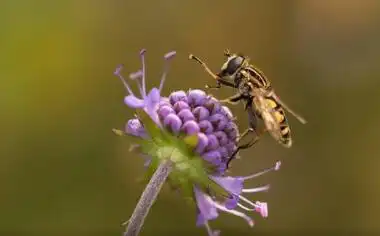 女命八字中食傷會怎樣？難育子女？