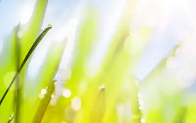 1982年8月出生的人是什麼命，好不好？