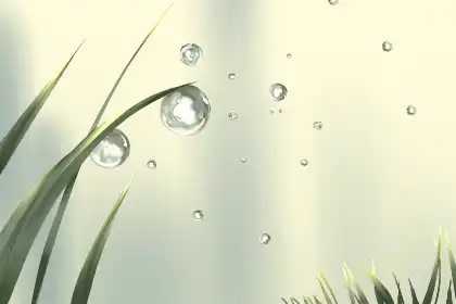 亥時出生的人有兩種命嗎 亥時生人命運如何