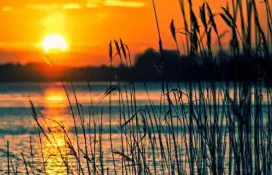 金水傷官很有錢？什麼是金水傷官