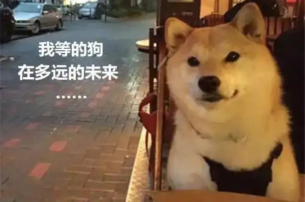 婚姻分析：容易打光棍的八字特徵