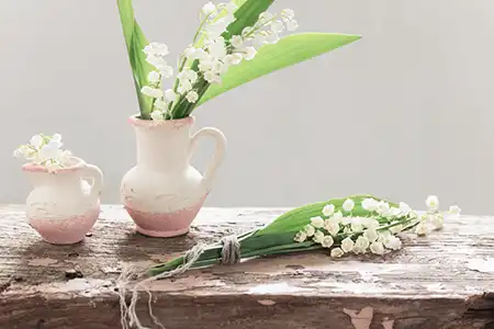 五行缺土會帶來什麼影響,五行缺土有何影響？