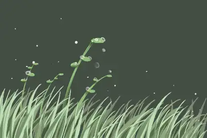 根據出生年月日運勢法是怎麼回事