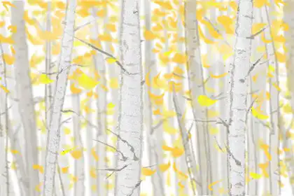 八字中身子比較弱的人該怎麼補救