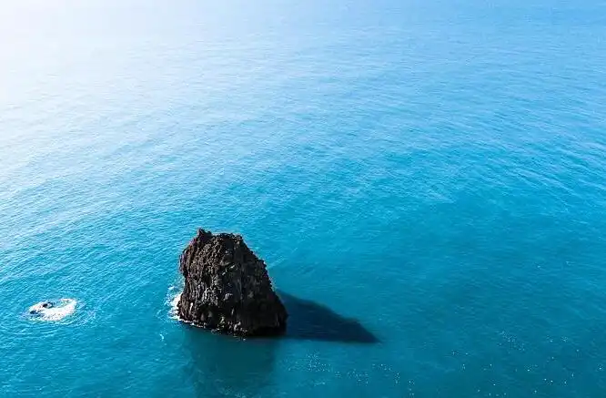 常見的四柱八字基礎術語有哪些,分別有什麼含義？