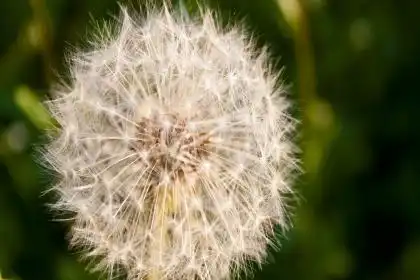 路旁土命屬馬，路旁土命馬是什麼意思