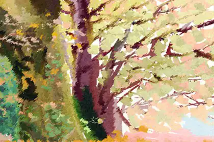 正月初一出生的人運勢好不好