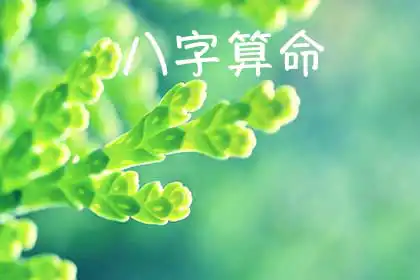 哪裡可以用生辰八字運勢，快來水墨先生