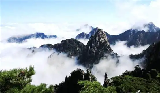 命理學——如何從自己的八字中覺醒