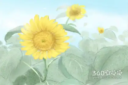 八字知識 十神詳解具體是什麼含義