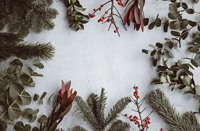 如何從八字看配偶的工作能力以及富貴程度？