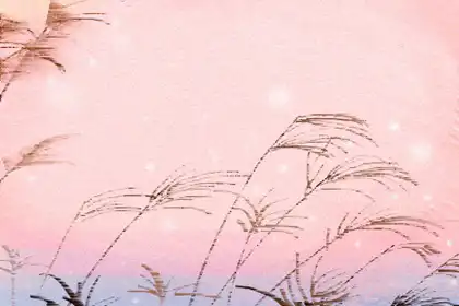 偏財格的富貴程度 身弱偏財格能發財嗎