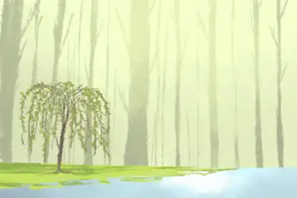 女人幾月生是孤寡命 從哪方看孤寡命