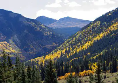 八字戊土日主生於丑月農曆十二月的用神是什麼？