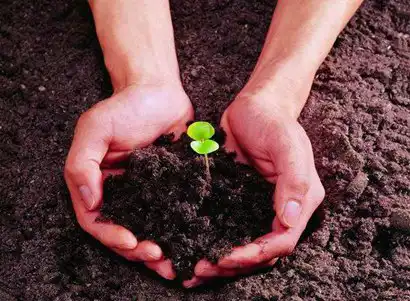 八字己土日主生於亥月農曆十月的用神是什麼？