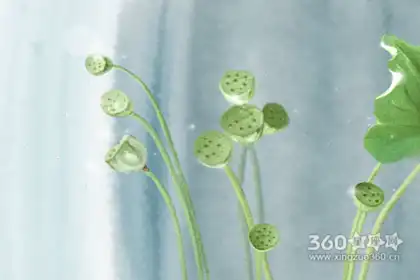 八字財運怎麼看 八字財運的具體分析