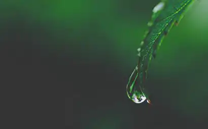 癸水命的人有什麼性格特徵，癸水女是什麼氣質