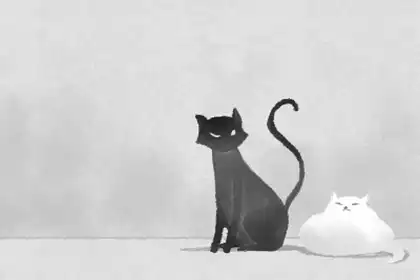 酉時出生的女孩命運 酉時出生的性格