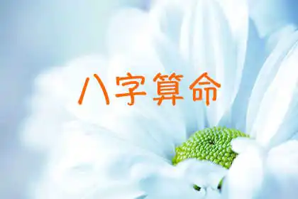 生時八字運勢，根據出生年月日時八字批命