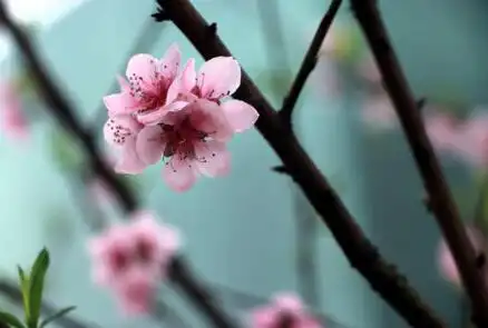 日坐沐浴是什麼意思