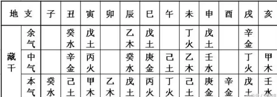 八字運勢 地支如何運用呢？