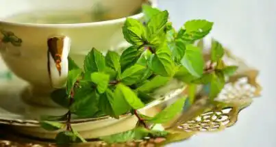 五行相剋的結果？五行相剋怎麼辦