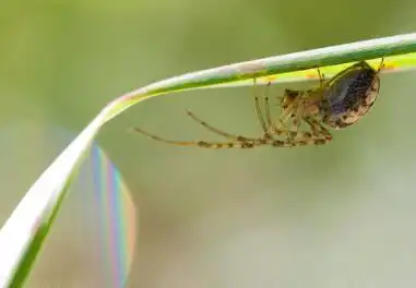 如何從八字看結婚時間