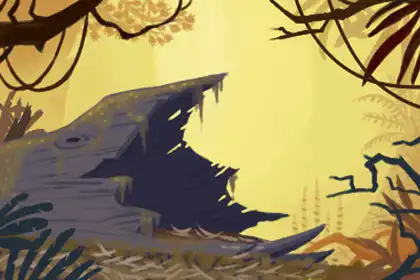 有偏財運的八字特徵 有什麼特點