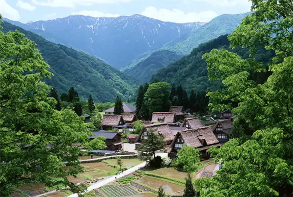 四柱八字運勢高層斷法精華100條，印帶驛馬外出求學，時支逢衝是出國標誌