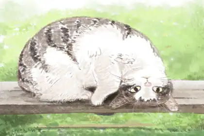 八字金多的是富貴命嗎 有什麼特點