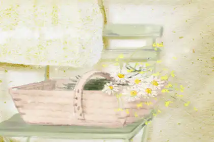 女人幾月生是孤寡命 從哪方看孤寡命