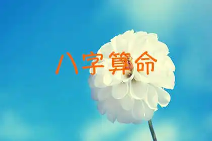 專業八字詳批，很全的八字運勢詳批