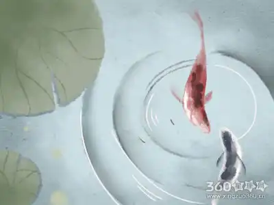 傷官格是什麼意義 你知道其中的含義嗎