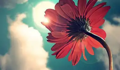 辛亥年是哪一年屬什麼？辛亥年出生的人什麼命？