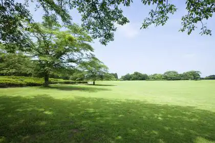 石榴木適合做什麼,石榴木命適合什麼行業