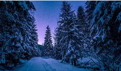 哪些日子有辛卯時？辛卯時出生的人命怎麼樣？