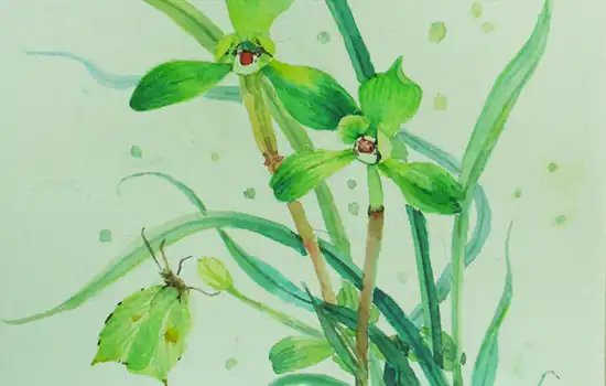 路旁土命和什麼命最般配,路旁土命與五行命理解析!