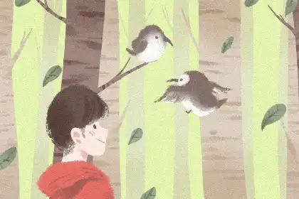 巳時出生的女孩命運是怎麼樣的