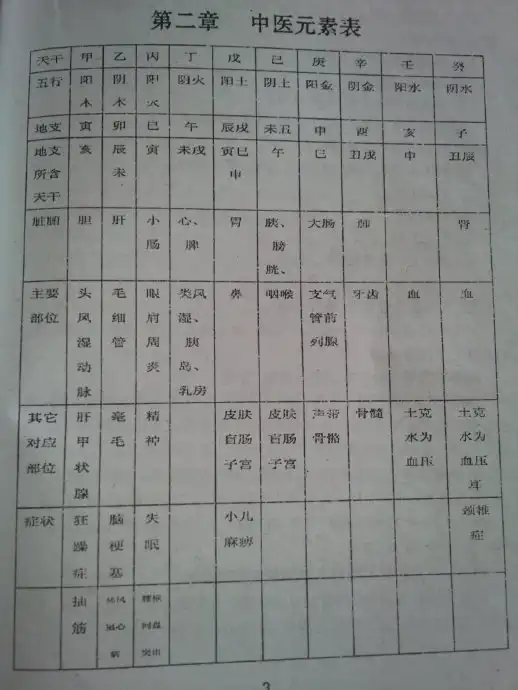 在生辰八字中怎樣看傷病災？十天干在四柱中代表的身體器官定位
