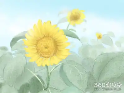 傷官格命運的人改如何逆轉