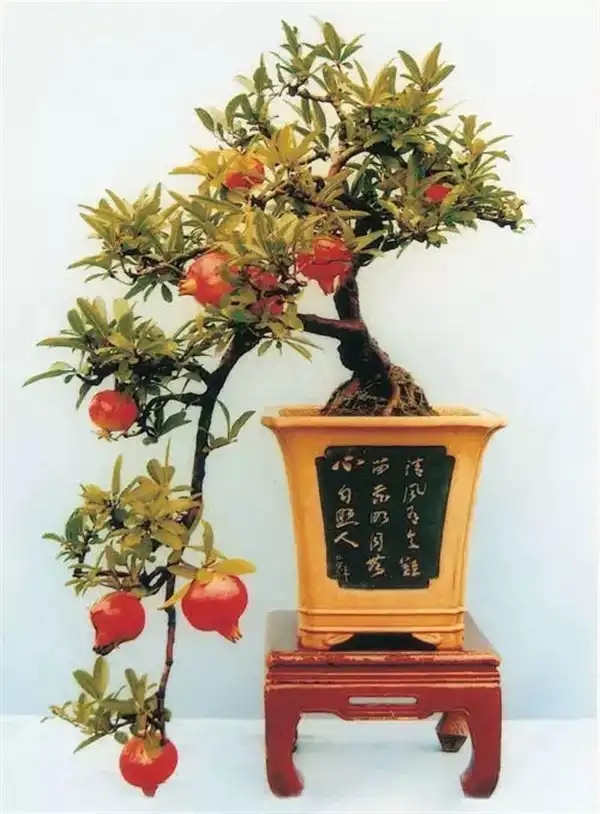 八字運勢的盲人訣與四言獨步有什麼不同之處？