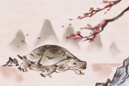 身上帶仙氣的人的特點 身帶仙氣是怎樣的