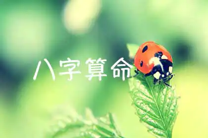 滴天髓八字運勢免費，滴天髓命理原理打造