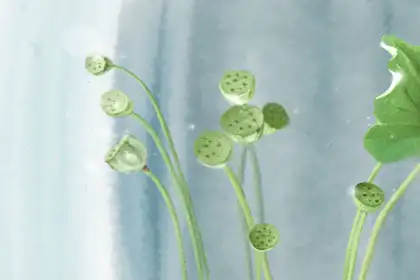 八字中身子比較弱的人該怎麼補救