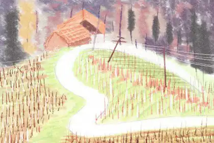 傷官見官怎麼看 是什麼意思