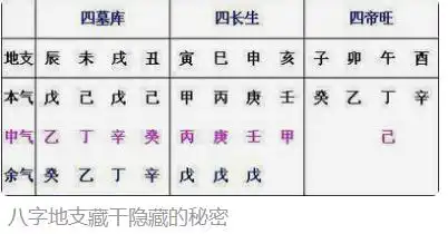 八字運勢 地支如何運用呢？