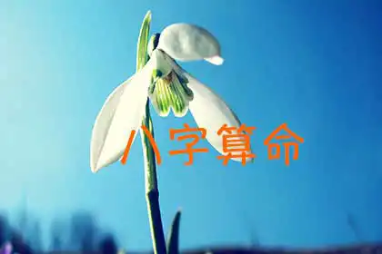 八字測命工具，最新研發很準八字測命神器